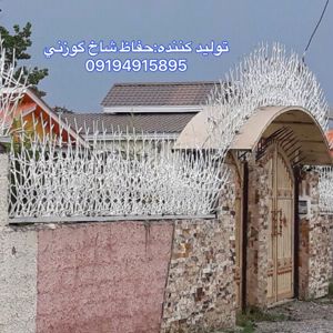 عکس شماره 12071 حفاظ-شاخ-گوزنی