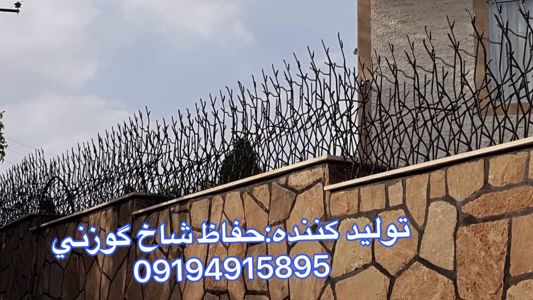 عکس شماره 12571 حفاظ-شاخ-گوزنی