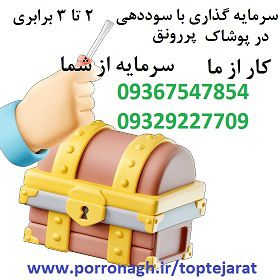 عکس شماره 35492 بهترین-سرمایه-گذاری-با-سود-ماهانه-و-شراکت-در-کار-پرسود