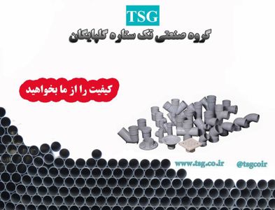 عکس شماره 355 پلیکا