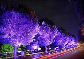 عکس نورپردازی فضاهای مختلف شهری 18358