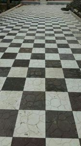 عکس شماره 32 لاشه