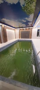 عکس شماره 33859 طراحی-و-اجرای-باغ-ویلا-استخر-سونا-و-جکوزی-به-صورت-اقساطی