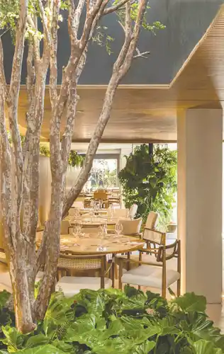 رستوران-رویایی