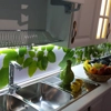 عکس لوگوی صنایع چوب ماندگار 140840