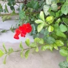 عکس لوگوی پیمانکاری وحید 157794