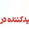 عکس لوگوی ایران چوب 41223