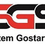 عکس سیستم گستر سینا 125308