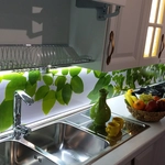 عکس صنایع چوب ماندگار 140840