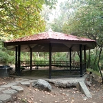 عکس باران پوشش 148701