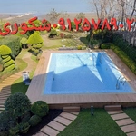 عکس نادر شکوری  150392