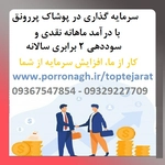 عکس حراجی دامنه طلا گستر  153006