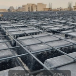 عکس آریا 158934