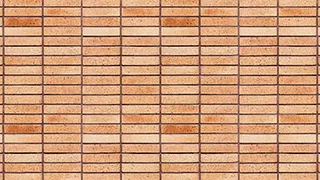 عکس آجرنسوز پلاک 22 کد DG-P22-1033011 14237