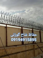 عکس حفاظ شاخ گوزنی 14634