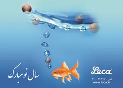عکس بلوک سبک آگهی در شماره 295 1606