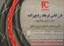 عکس بازرگانی فرهاد رفیع زاده ( گرامیان سابق ) آگهی در شماره 364 18280
