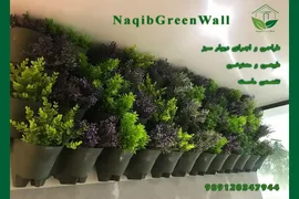 عکس طراح و مجری دیوار سبز  در ورامین 19327