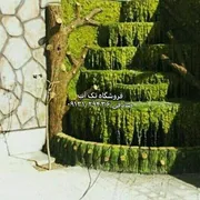 عکس ابنما 19701