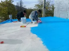 عکس رنگ نانو عایق سرما و گرما پادنار 25908