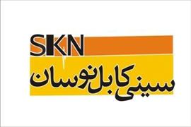 عکس شماره 27122 نردبان-کابل