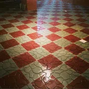 عکس لاشه  31