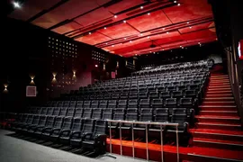 عکس مبلمان سینمایی صندلی آمفی تئاتر و صندلی همایش سون 33378