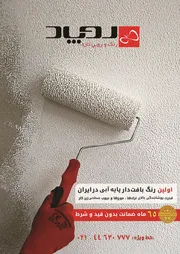 عکس روپاد(رنگ و رویی تازه) آگهی در شماره 284 3352
