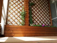 عکس نما داخلی حیاط 6055