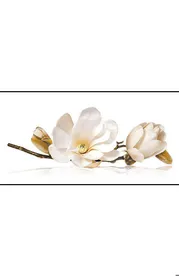 عکس انواع کاشی و سرامیک داخلی و صادرات 8211