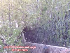 عکس شماره 8737 حفاظ-دیوار