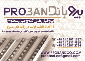 عکس شماره 1891 پروفیل-آگهی-در-شماره-294