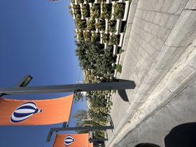 عکس شماره 32509 بهترین-گلدان-شیب-بندی