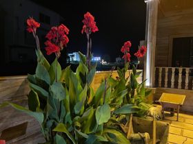 عکس شماره 36729 منزل-ویلایی130-متری-با-بهترین-لوکیشنو-بهترین-متریال