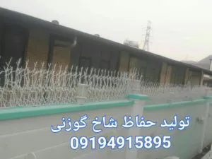 عکس حفاظ شاخ گوزنی 18617