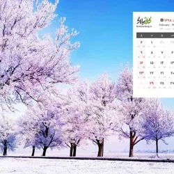 عکس سیم و کابل شاهین لوگو 18673