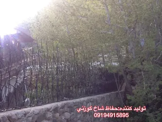 عکس حفاظ شاخ گوزنی 21120