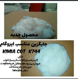 عکس کیمیا کوت 23364