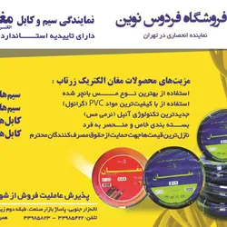 عکس فروشگاه فردوس نوین نماینده انحصاری در تهران آگهی در شماره 263 2872
