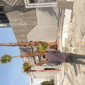 عکس تصویر 312 312