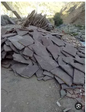 عکس تصویر 80 80