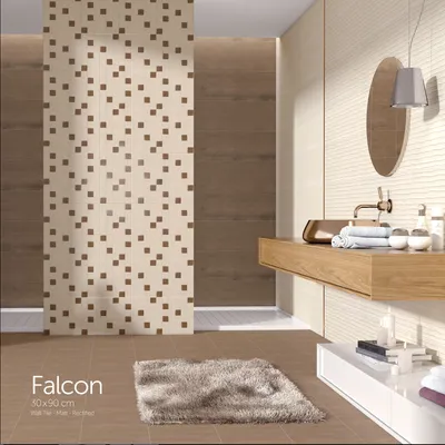 عکس falcon 17491