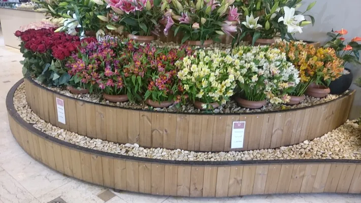 عکس فلاور باکس.گلدان چوبی 18338