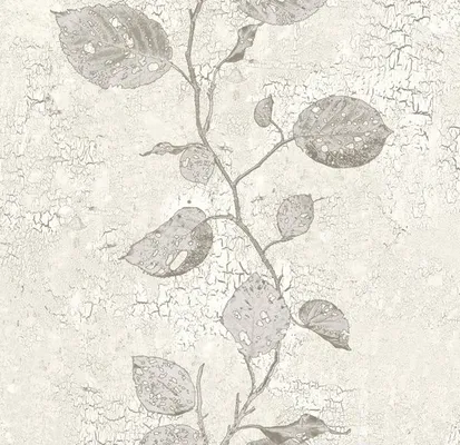عکس کره 19375