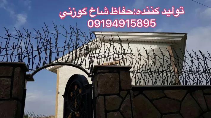 عکس حفاظ شاخ گوزنی 21122