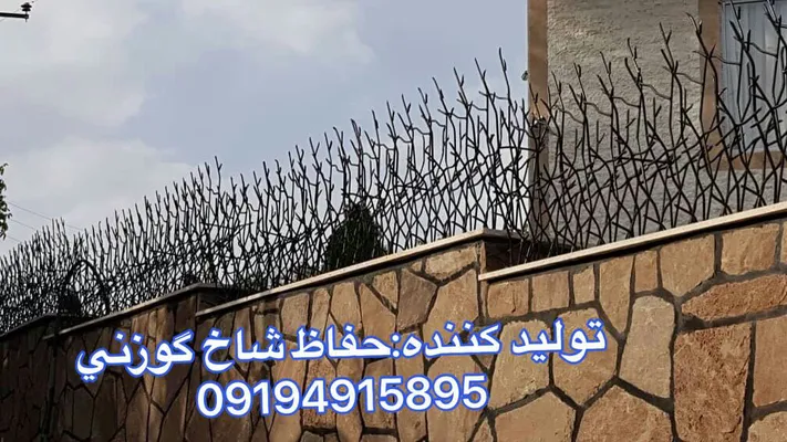 عکس حفاظ شاخ گوزنی 21127
