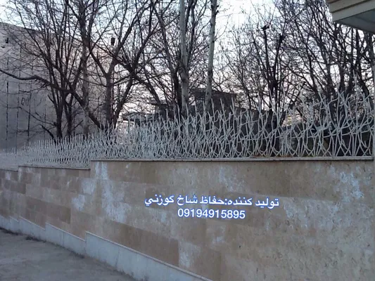 عکس حفاظ شاخ گوزنی 21129