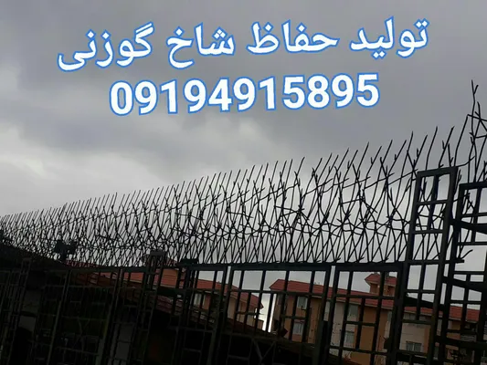 عکس حفاظ شاخ گوزنی 21130