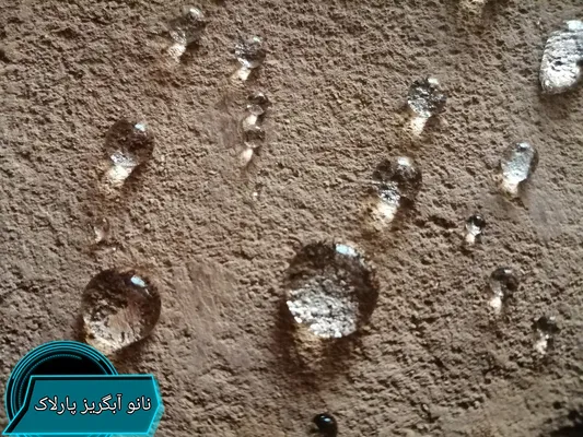 عکس نانوابگریز پارلاک 26116