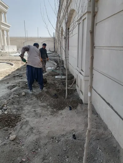 عکس آبیاری قطره ای بارانی دیوار سبز گلخانه 26683